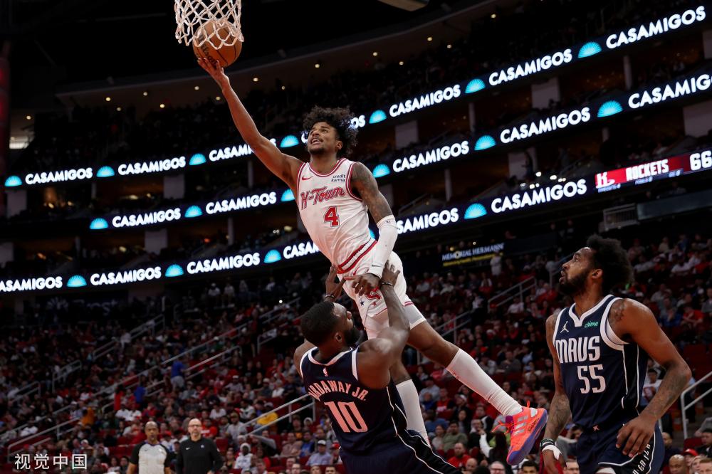 种族多样性 种族多样性